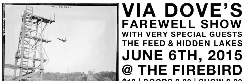 viadove's profile banner image