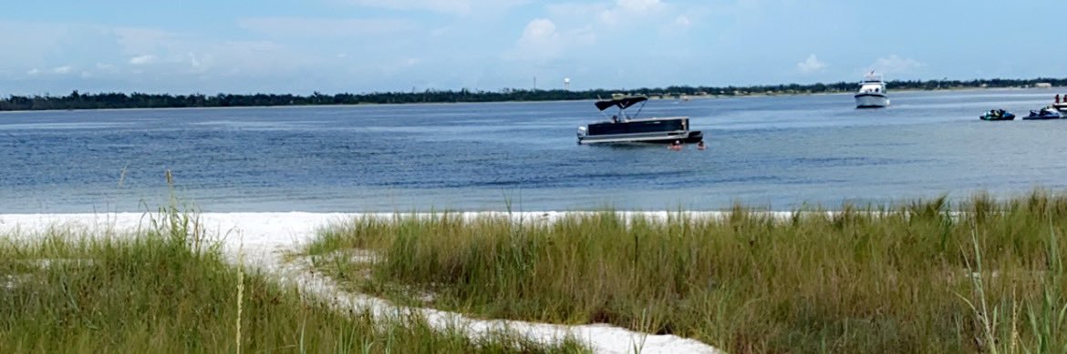 cameron hamilton :)) banner