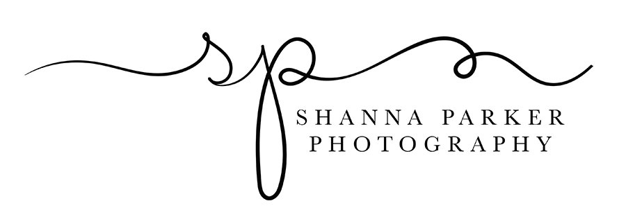 SPPhotographs's profile banner image