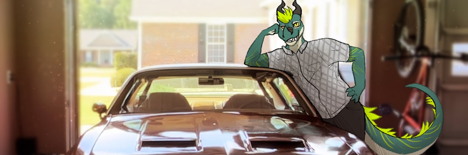 ttdog007's profile banner image