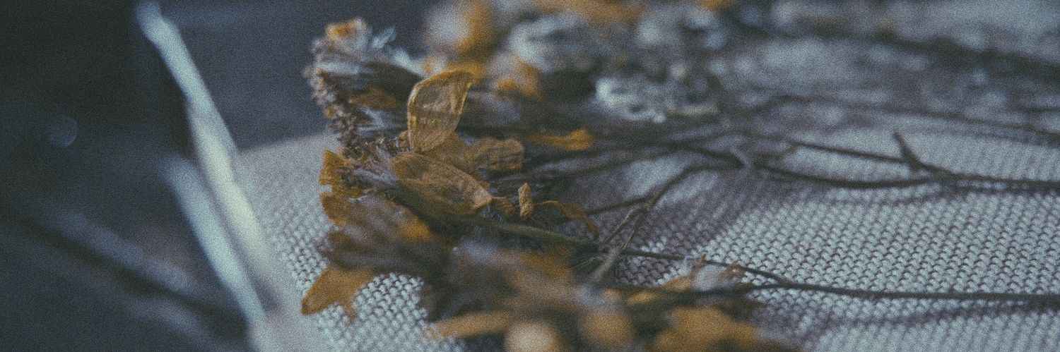 isaacfermusic's profile banner image