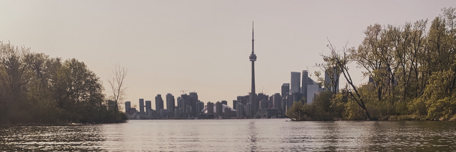 alilindie's profile banner image