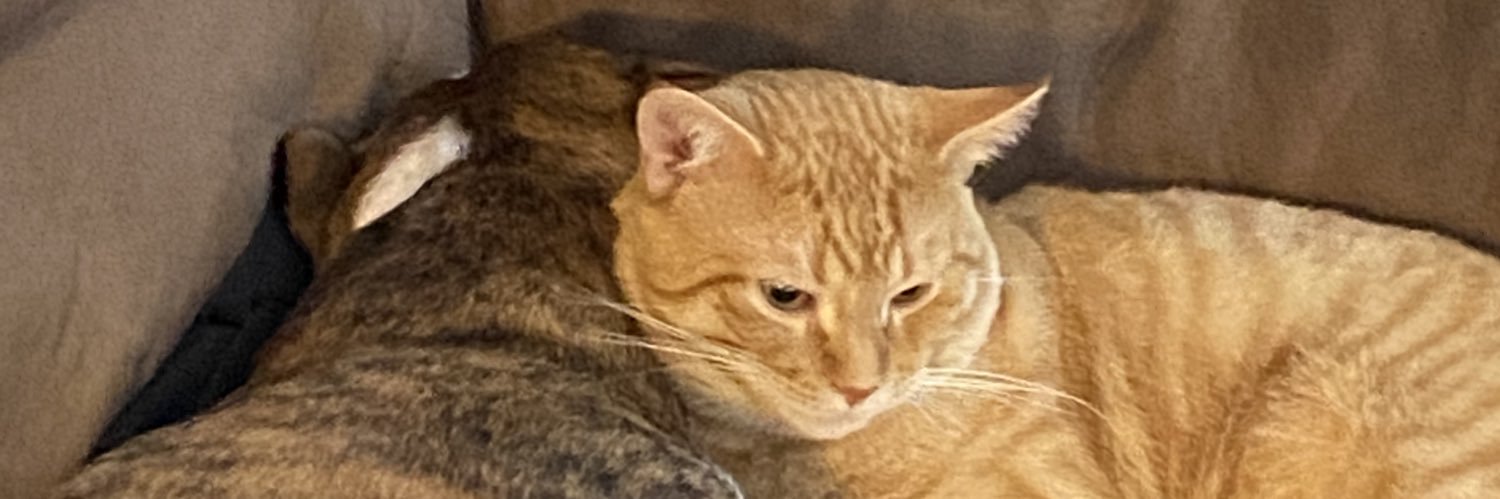 RandyDabbage's profile banner image