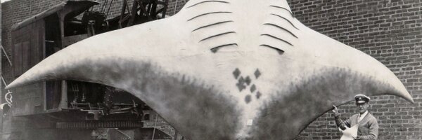 SamChewChin Profile Banner