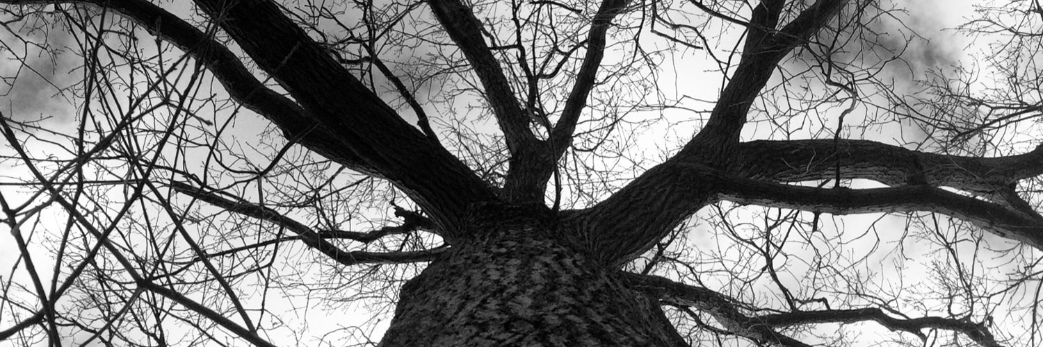 Delvin Lynn Fulton banner