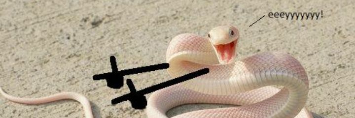 dangermathisfun's profile banner image