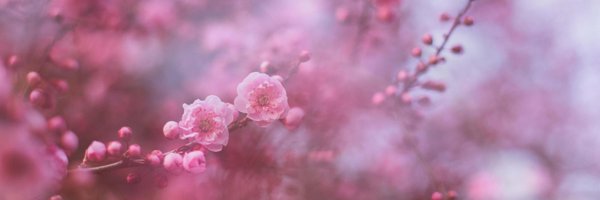 KunalMehraPhoto Profile Banner