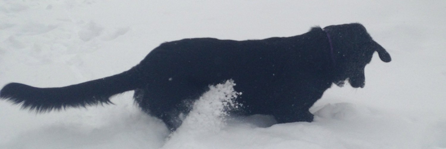 erindawn5's profile banner image