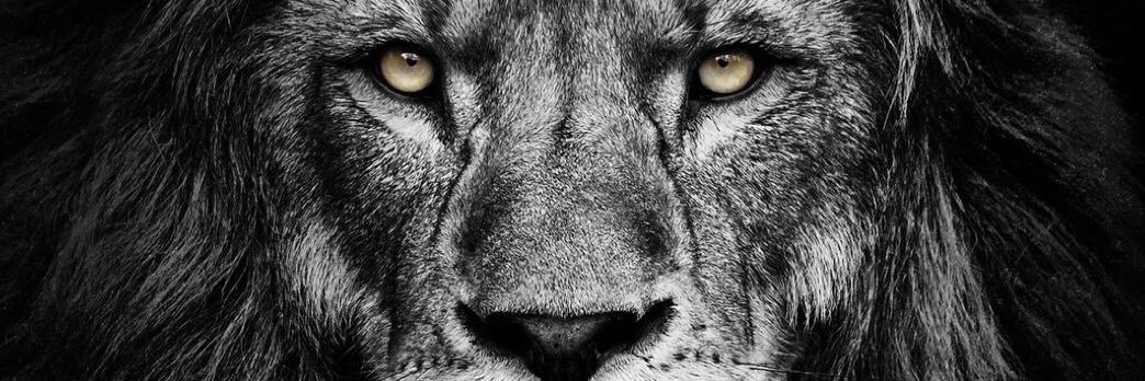 LSThomas730's profile banner image