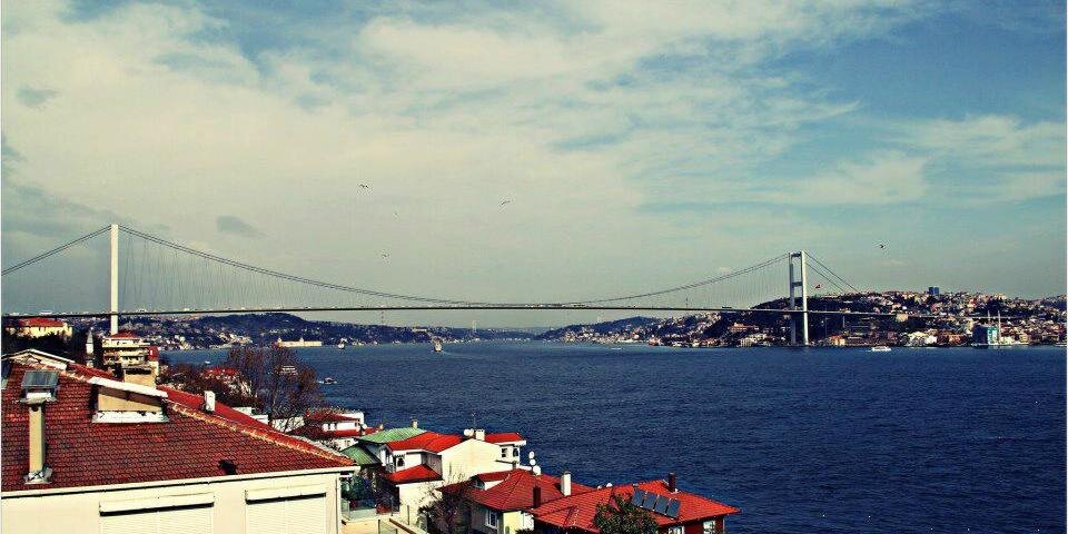 Aya_Ismail412's profile banner image