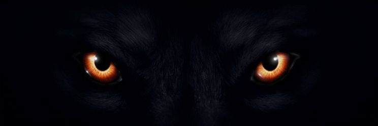 OrthrosWlf's profile banner image