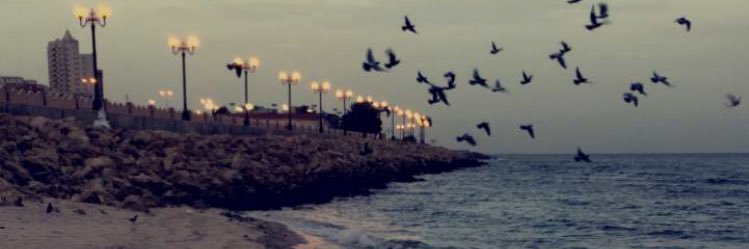 سلطان الشمري banner