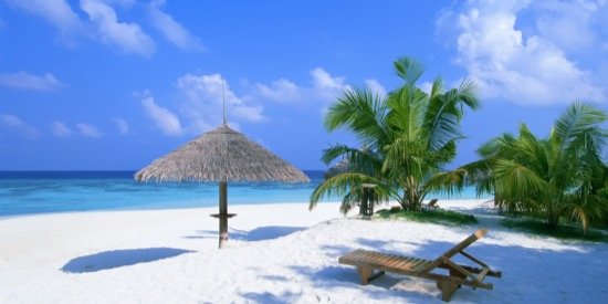 Bella26033's profile banner image