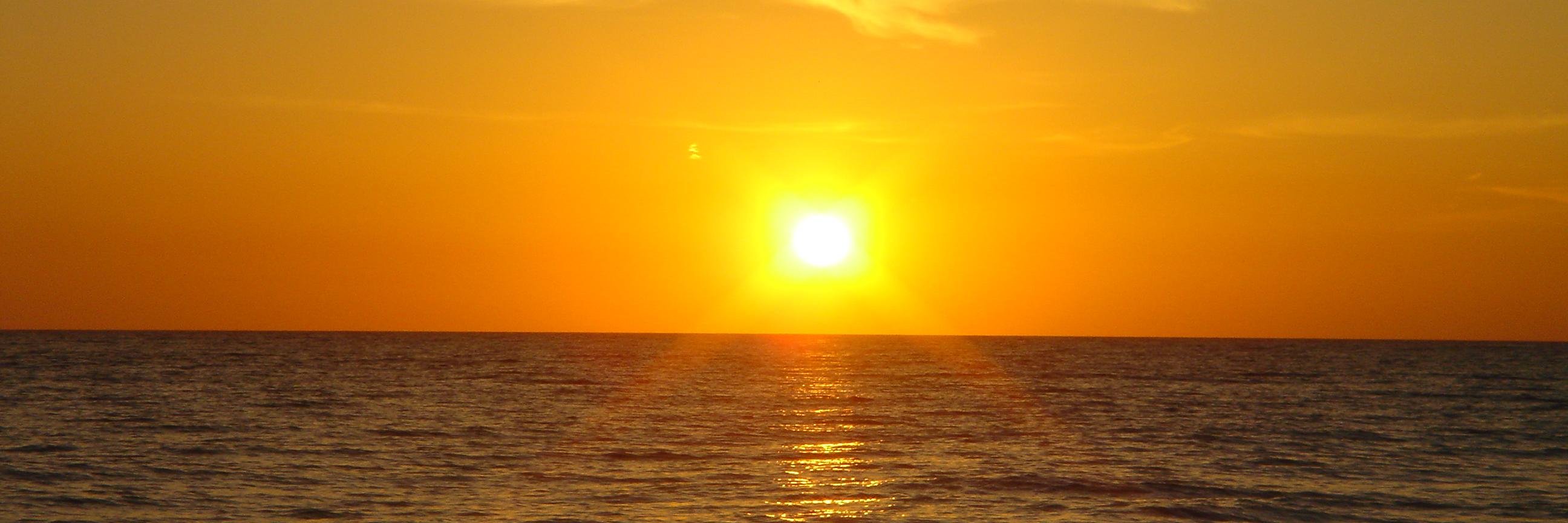 hollykpritch's profile banner image