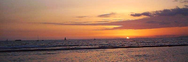 SistersInCrimeHawaii banner