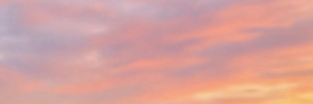 ✿𓈒 banner