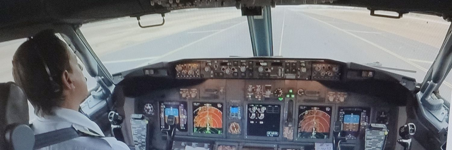 viclopezperines's profile banner image