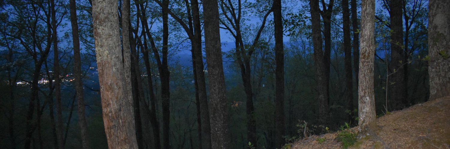 TheLand440's profile banner image