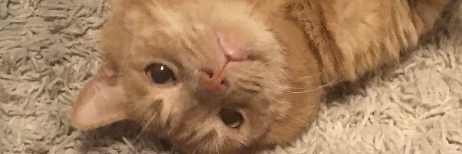 CourtCamClark's profile banner image