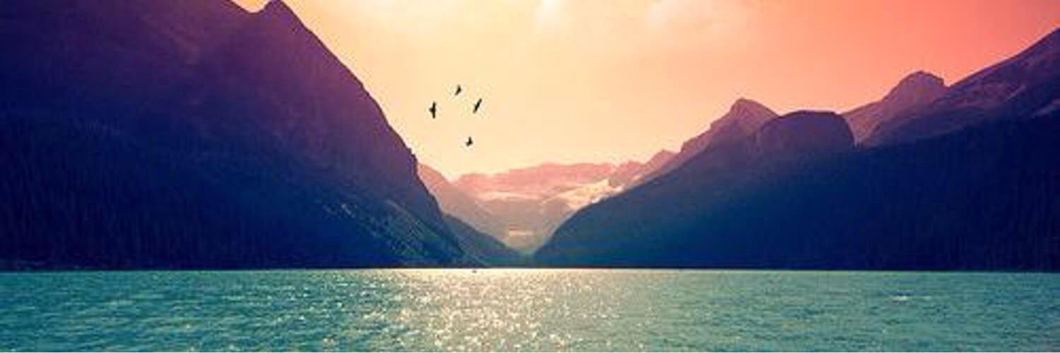 toocool4humans's profile banner image