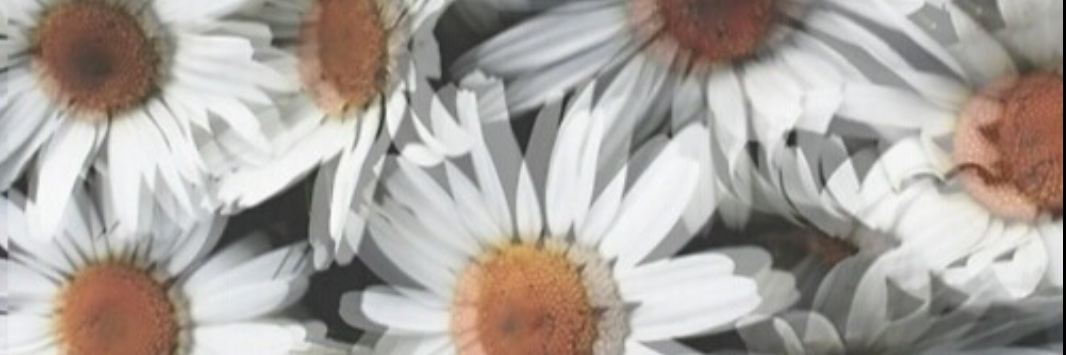 ValeQuipildor's profile banner image