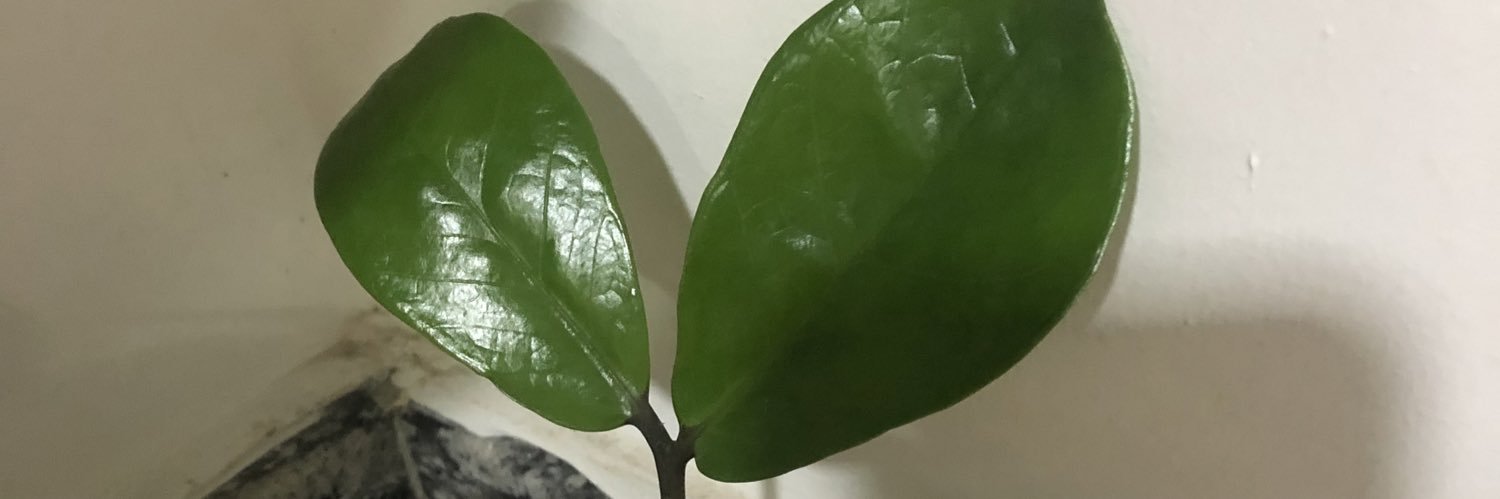 Peejaybabes's profile banner image