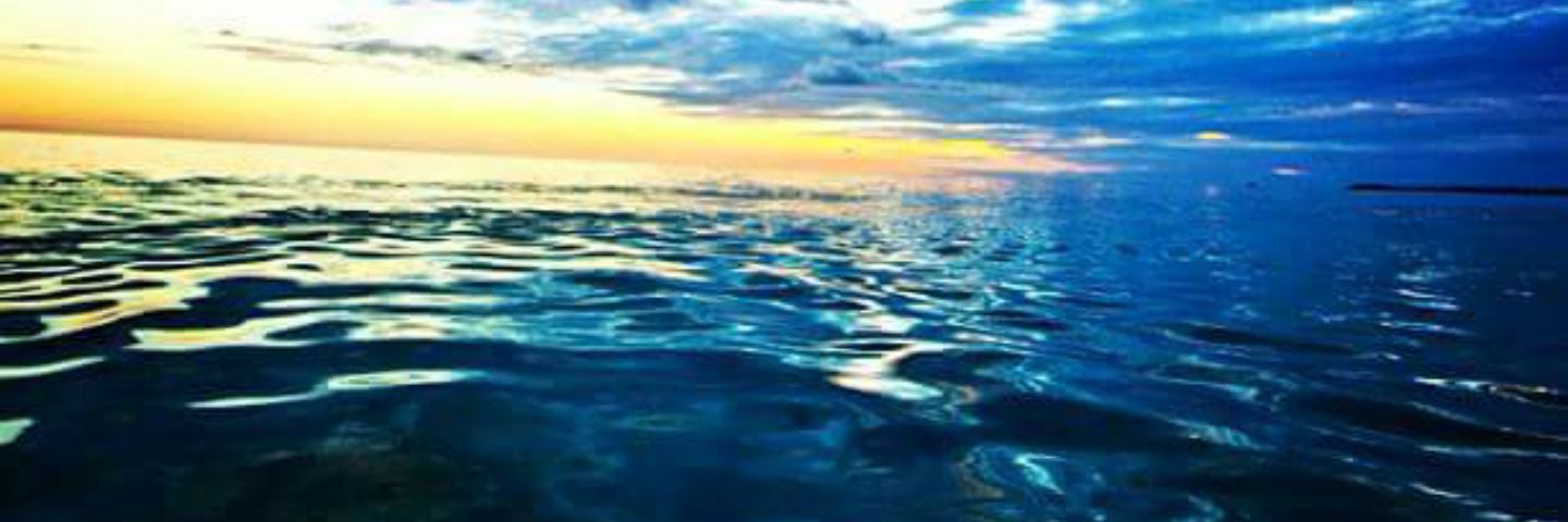 MikeWang2014's profile banner image