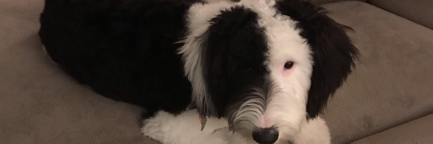 MrsGurney4's profile banner image
