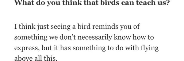 MarkRich37 Profile Banner