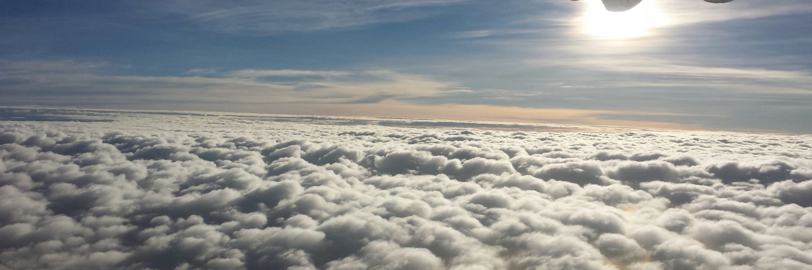 Roel Barandon banner