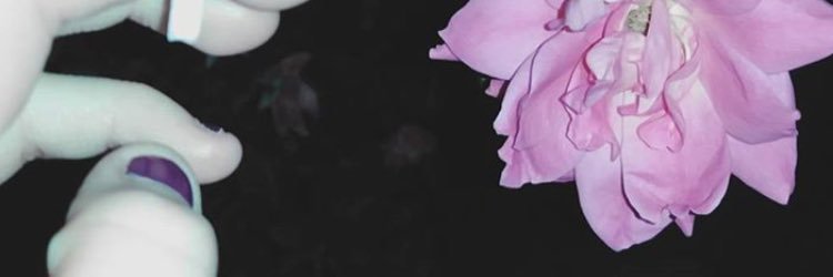 bij_an's profile banner image