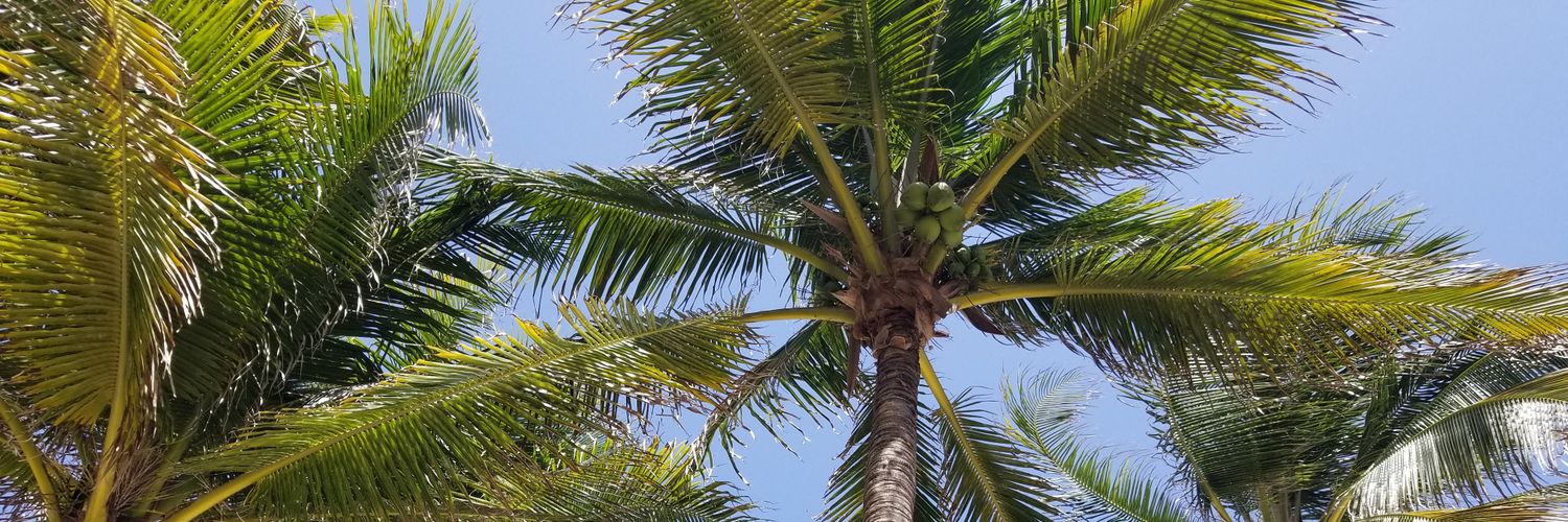 DonBryan11's profile banner image