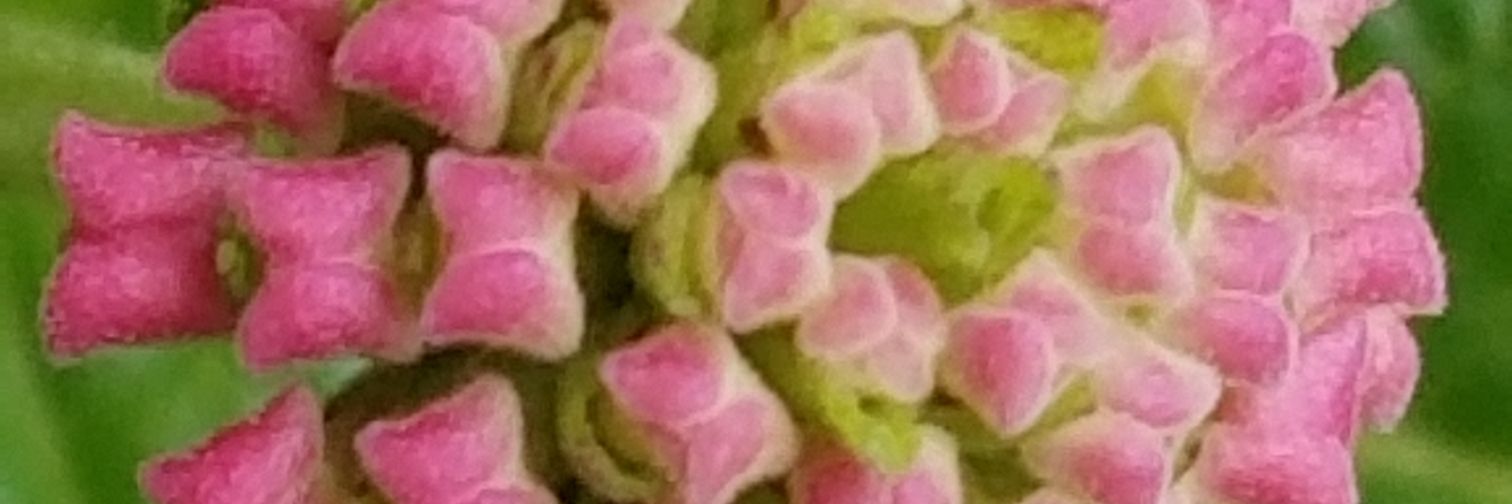 mommahall58's profile banner image