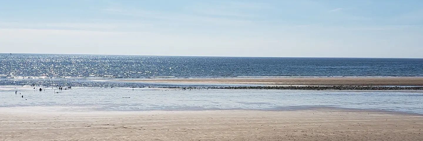 ScuttleJen's profile banner image