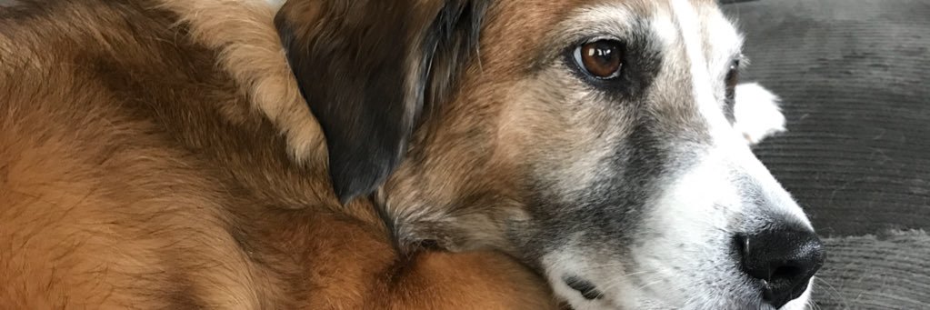 murphy_beck's profile banner image