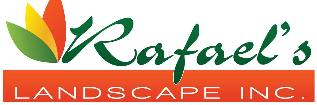 Rafaellandscape's profile banner image