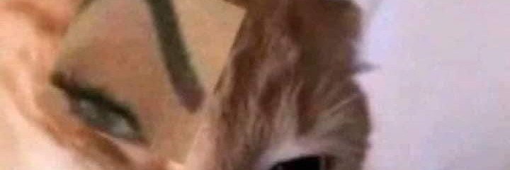 pinciiryi's profile banner image