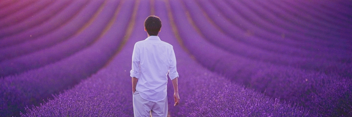 Satoshi_9x's profile banner image