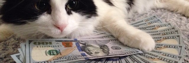 mineistheonly's profile banner image