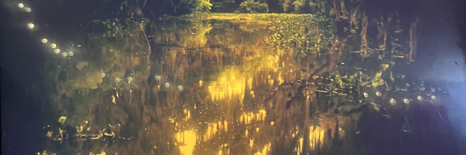 WaterSignFlow's profile banner image