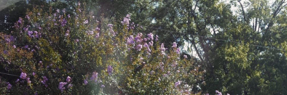 jamie_melson's profile banner image