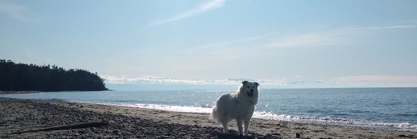 ShadowSilvia_ Profile Banner