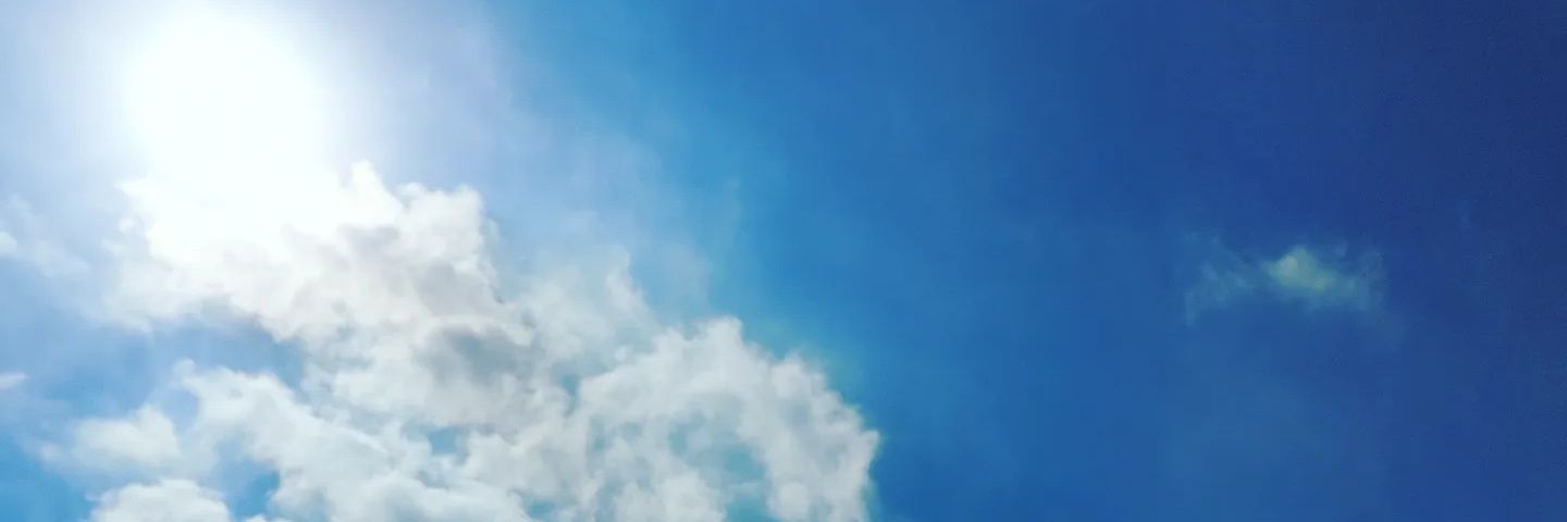 橘 未佐子 banner