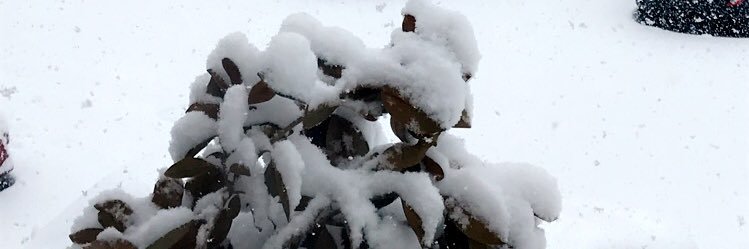 AlsofianiNoura's profile banner image