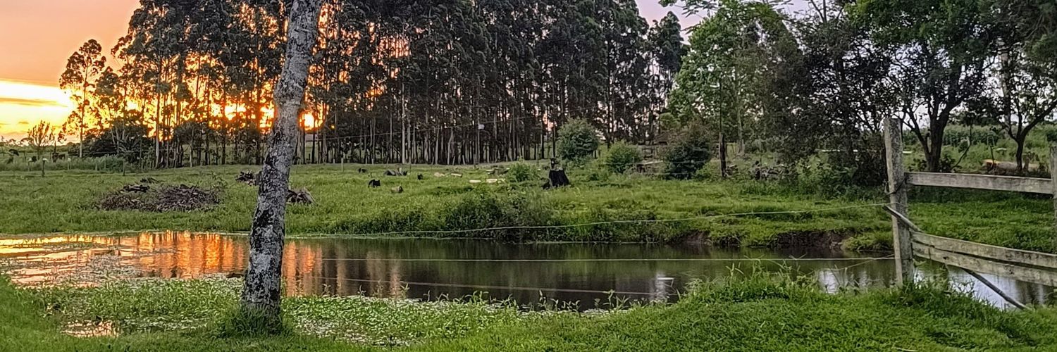 CesarSulzbach's profile banner image