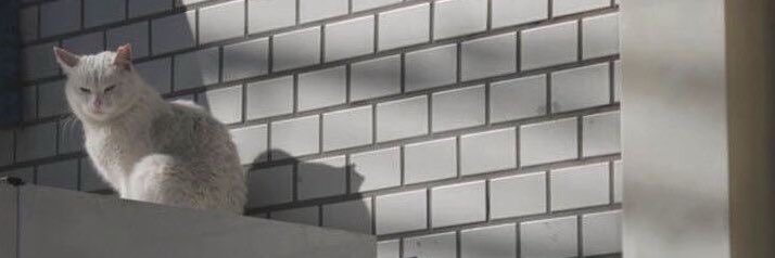 lcdhwang's profile banner image