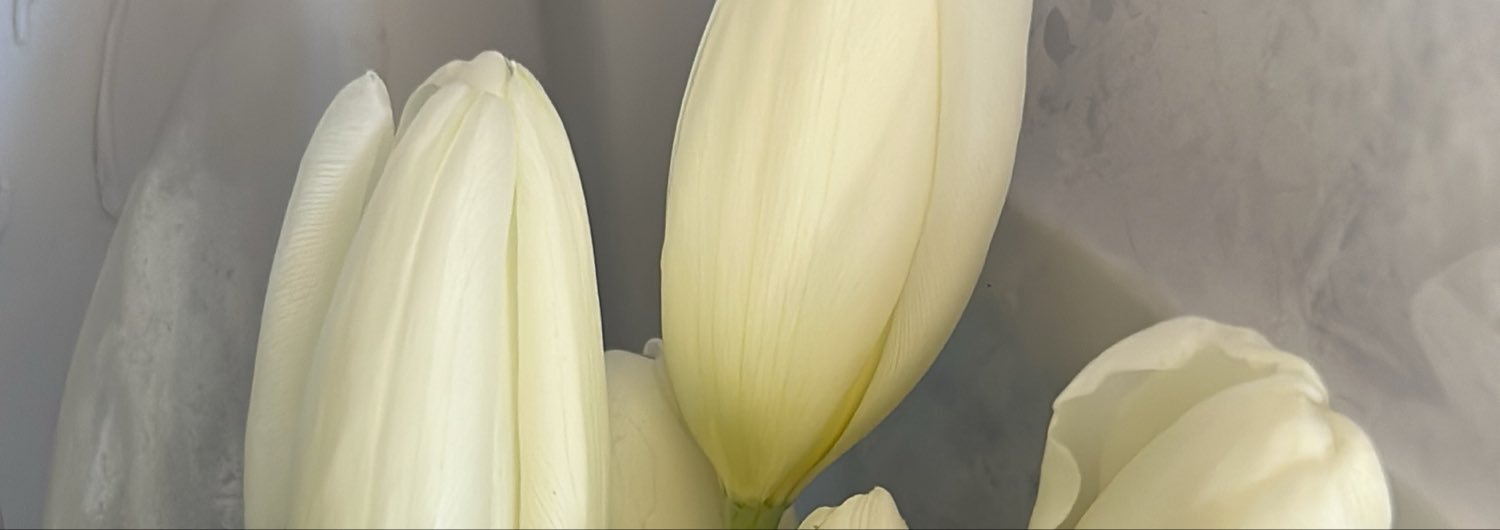 sftbun_'s profile banner image