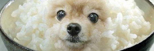 anikrap's profile banner image