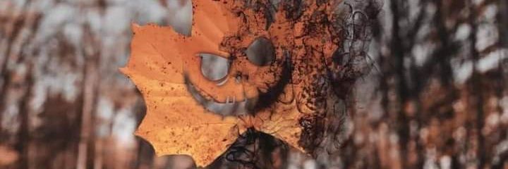 VioletGallagh12's profile banner image
