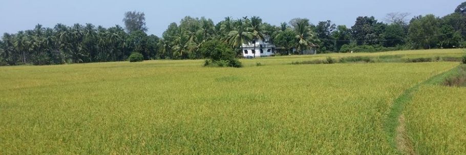 UdayiCODE's profile banner image